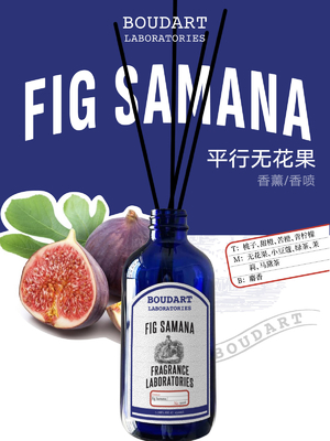 FIG SAMANA Reed Diffuser Aroma Rattan Bastones en estilo de diseño elegante con notas de punta de melocotón