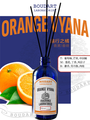 Difusor de caña OEM con sabor a naranja y canela botella de vidrio natural perfume de fragancia