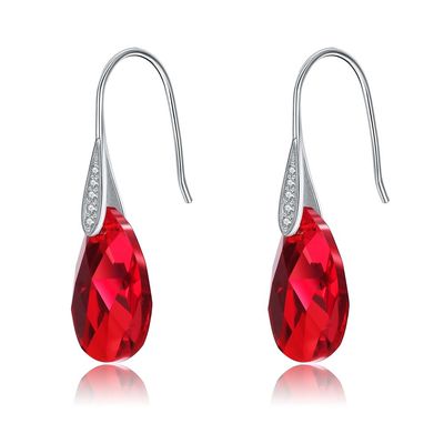 Gancho largo Sterling Silver Jewelry Earrings