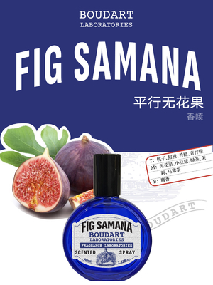 FIG SAMANA Spray para el cuerpo Lime y aceite de fragancia de musgo concentrado con aceite esencial de clavo