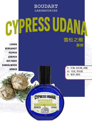 CYPRESS UDANA Aerosol perfumado con aceite esencial de clavo de olor International Klein Blue Design Style
