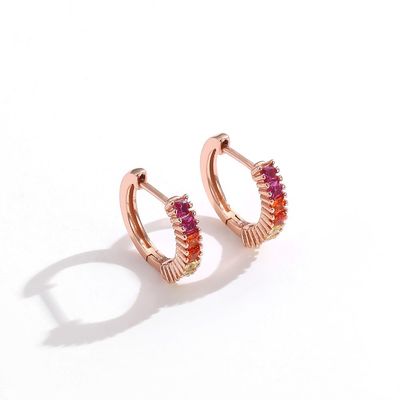 Arco iris Sterling Silver Jewelry Earrings