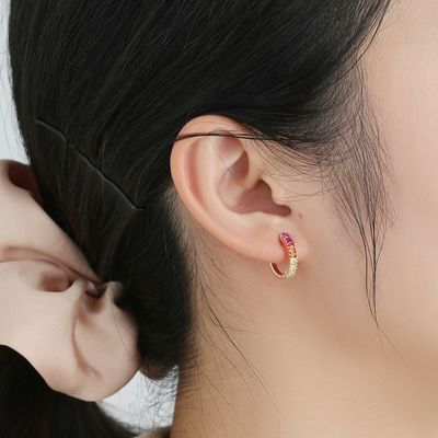 Arco iris Sterling Silver Jewelry Earrings
