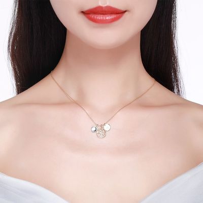 el 19in 25g Sterling Silver Jewelry Necklaces